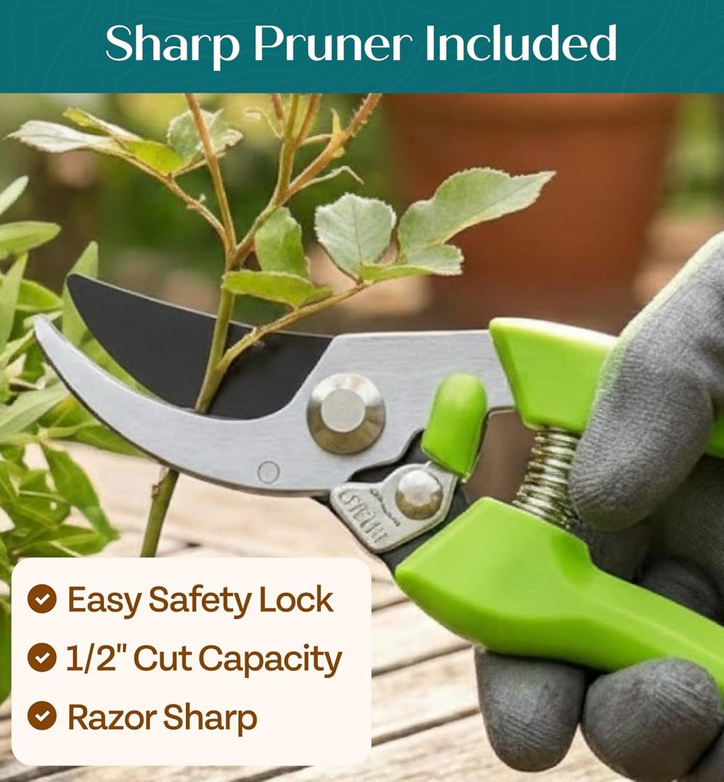 Greenhaus Gardening Premium 11-Piece Garden Tool Set with Tote Bag, Gloves, Sprayer & Plant Tags