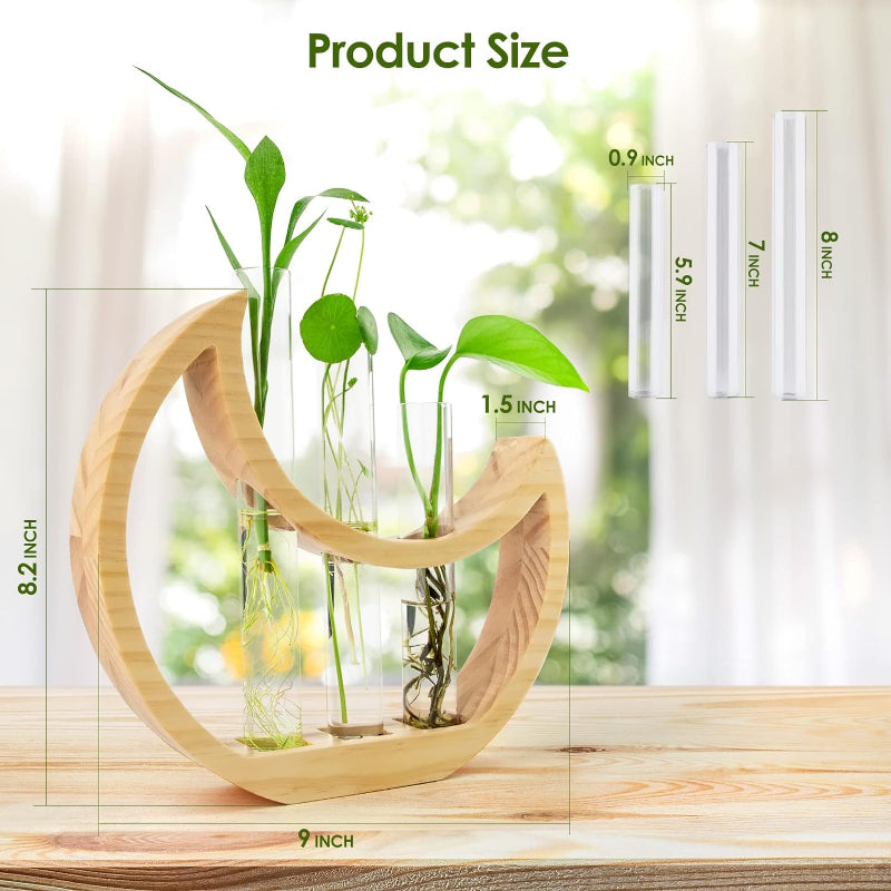 Greenhaus Gardening Wooden Plant Propagation Stand with Glass Bulb Vases