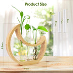 Greenhaus Gardening Wooden Plant Propagation Stand with Glass Bulb Vases
