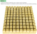 Greenhaus Gardening Rockwool Plant Starter Cubes for Propagation