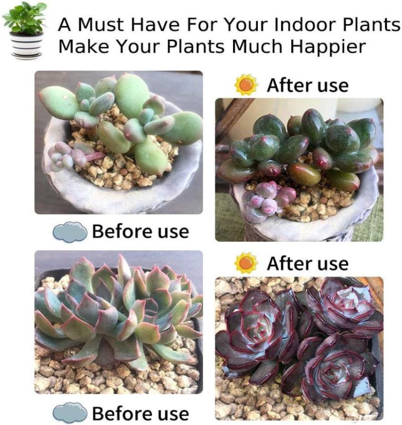 Greenhaus Gardening Clip Grow Light for Indoor Plants with 60 LEDs
