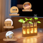 Greenhaus Gardening Wooden Plant Propagation Stand with Glass Bulb Vases