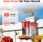 Greenhaus Gardening Outdoor Smart Bird Feeder with Solar Power and App Control
