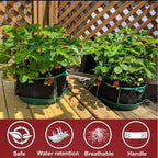 Greenhaus Gardening Square Heavy-Duty Fabric Pots for Square Foot Gardening