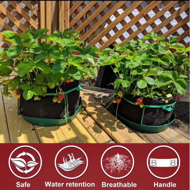 Greenhaus Gardening Square Heavy-Duty Fabric Pots for Square Foot Gardening