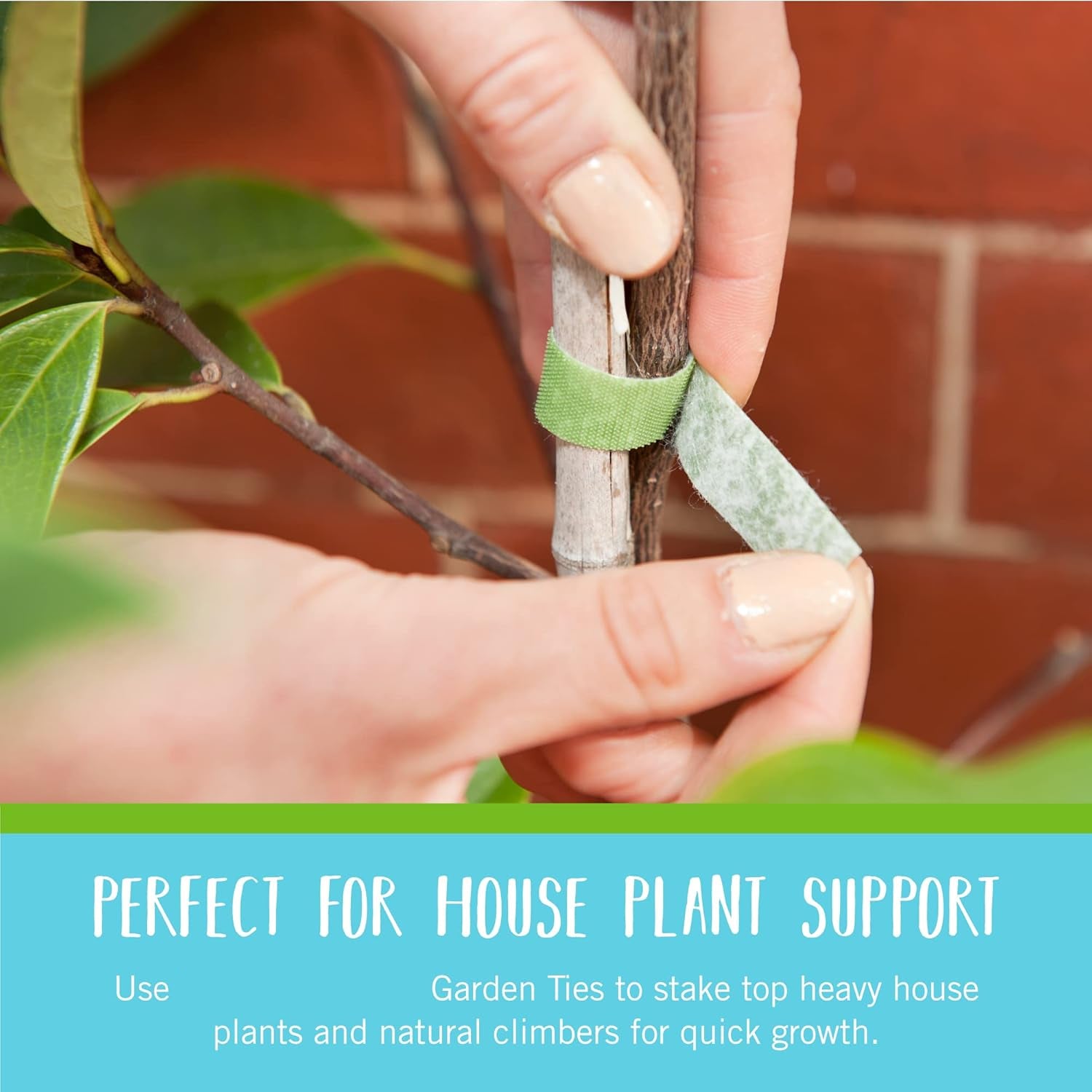 Greenhaus Gardening Adjustable Hook & Loop Plant Support Tape for Climbing Plants