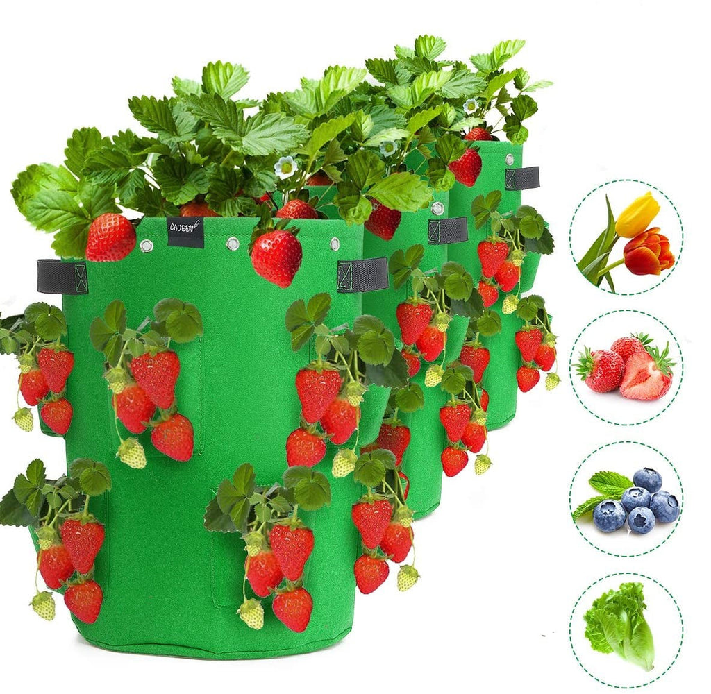 Greenhaus Gardening Strawberry Grow Bags with 8 Side Planting Pockets