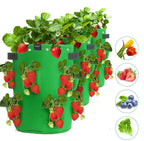 Greenhaus Gardening Strawberry Grow Bags with 8 Side Planting Pockets