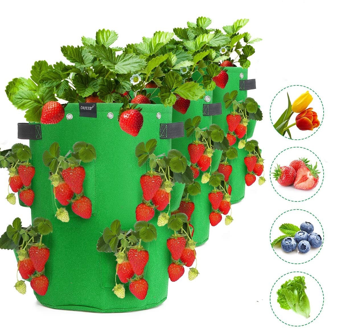 Greenhaus Gardening Strawberry Grow Bags with 8 Side Planting Pockets