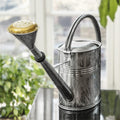 Greenhaus Gardening Watering Can – 2 Gallon Capacity with Removable Brass Rose
