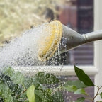Greenhaus Gardening Watering Can – 2 Gallon Capacity with Removable Brass Rose