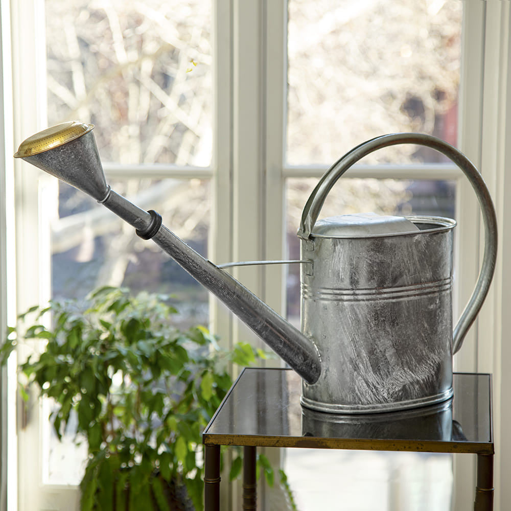 Greenhaus Gardening Watering Can – 2 Gallon Capacity with Removable Brass Rose