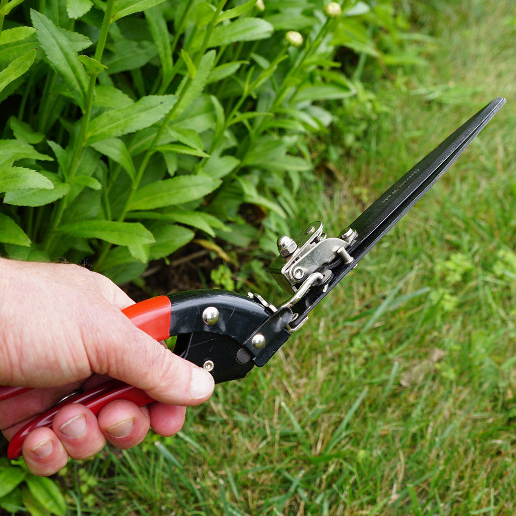 Greenhaus Gardening Grass and Hedge Shears for Neat Outdoor Borders