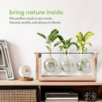 Greenhaus Gardening Wooden Plant Propagation Stand with Glass Bulb Vases