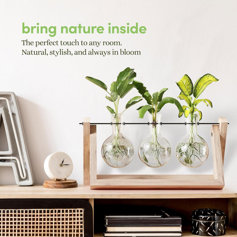 Greenhaus Gardening Wooden Plant Propagation Stand with Glass Bulb Vases