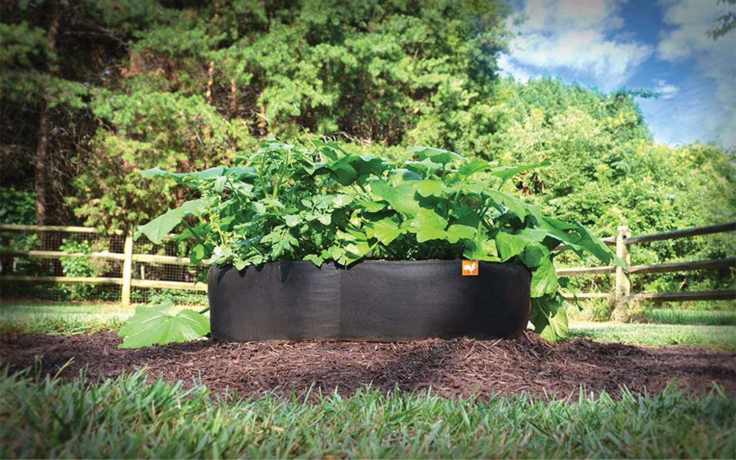 Greenhaus Gardening Breathable Fabric Raised Bed for Fruits Herbs and Plants