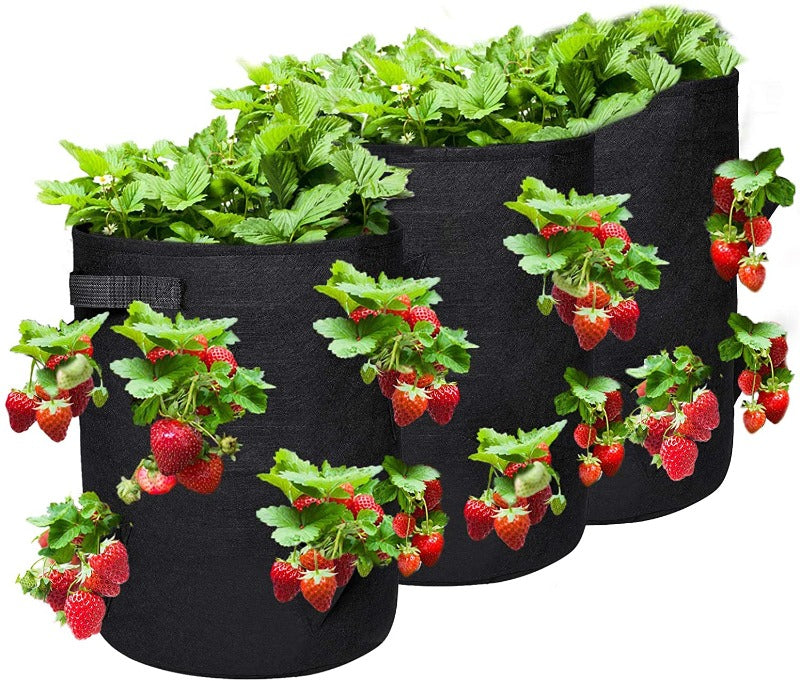 Greenhaus Gardening Strawberry Grow Bags with 8 Side Planting Pockets