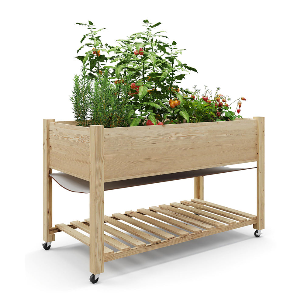Greenhaus Gardening 48 × 24 in Cedar Raised Garden Bed with Locking Wheels
