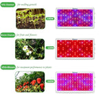 Greenhaus Gardening Grow Light with Triple-Chip LED Technology