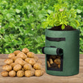Greenhaus Gardening Green Vegetable Planter Bags with Breathable Fabric