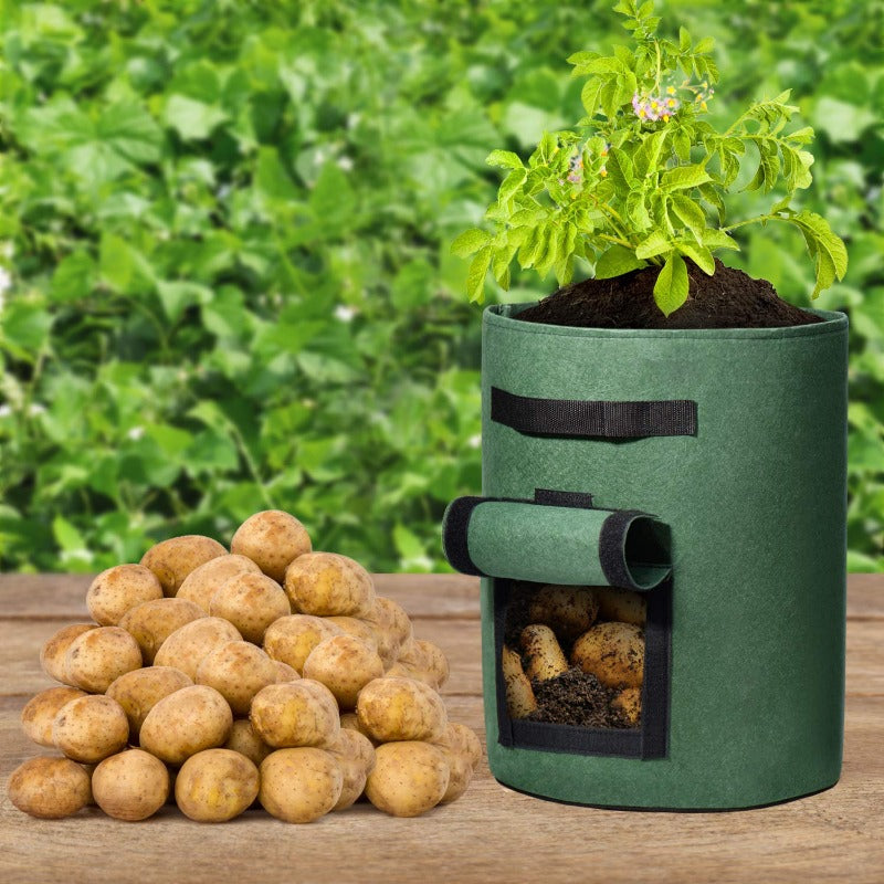 Greenhaus Gardening Green Vegetable Planter Bags with Breathable Fabric