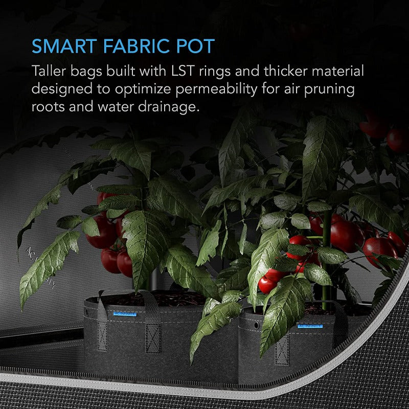 GreenHaus Gardening Heavy Duty Fabric Planter Pots for Vegetables & Herbs