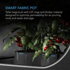 GreenHaus Gardening Heavy Duty Fabric Planter Pots for Vegetables & Herbs
