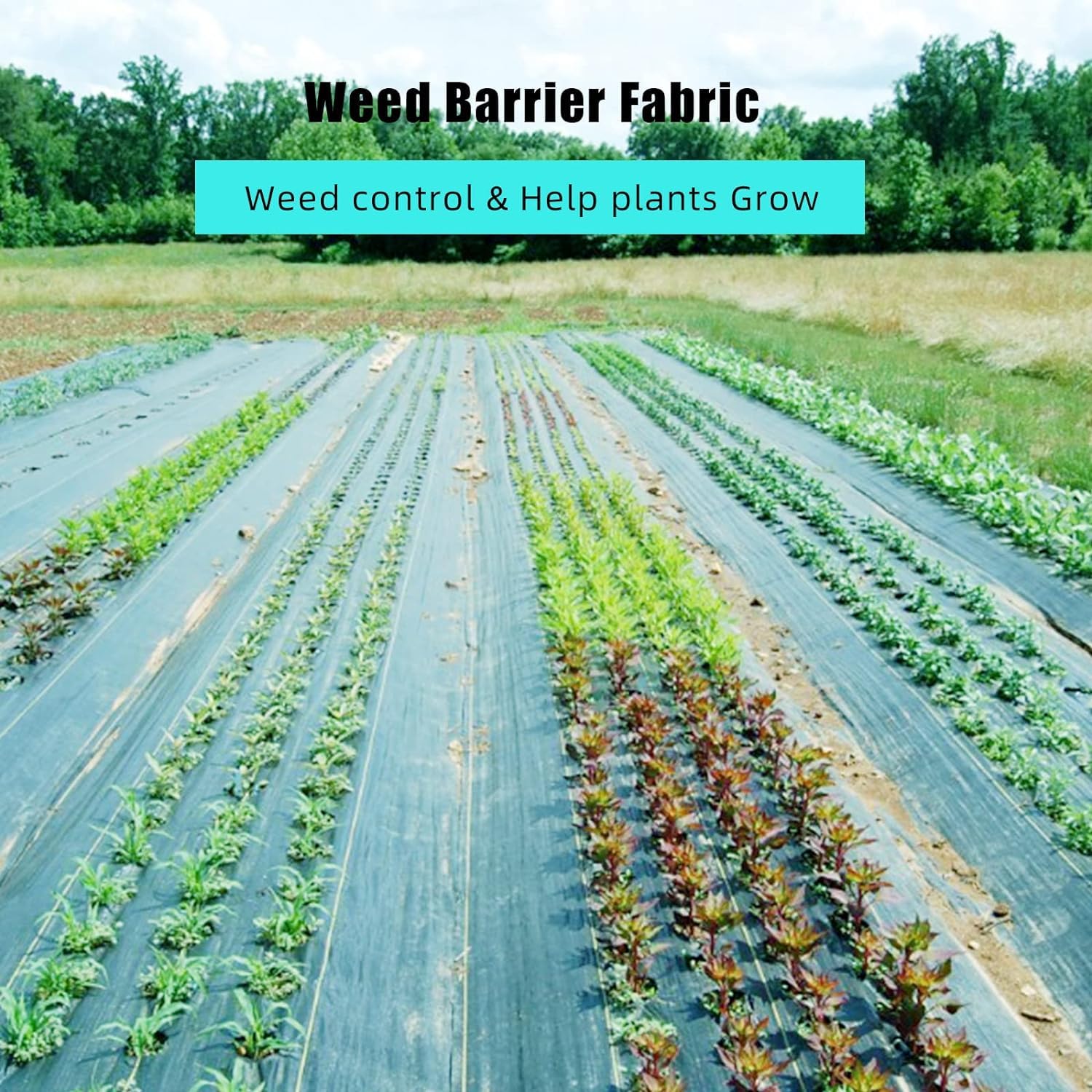 Greenhaus Gardening 6.5 ft × 330 ft Heavy Duty Weed Barrier Fabric
