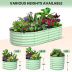 Greenhaus Gardening 2-Pack 6 × 3 × 1 ft Oval Galvanized Raised Garden Beds