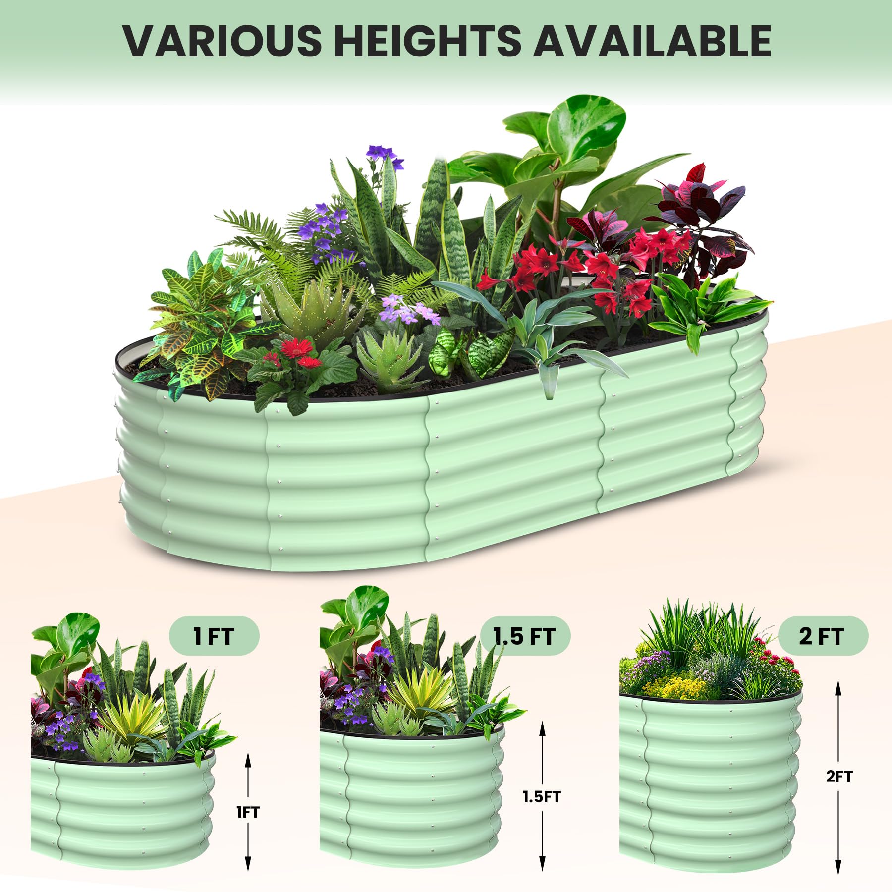 Greenhaus Gardening 2-Pack 6 × 3 × 1 ft Oval Galvanized Raised Garden Beds