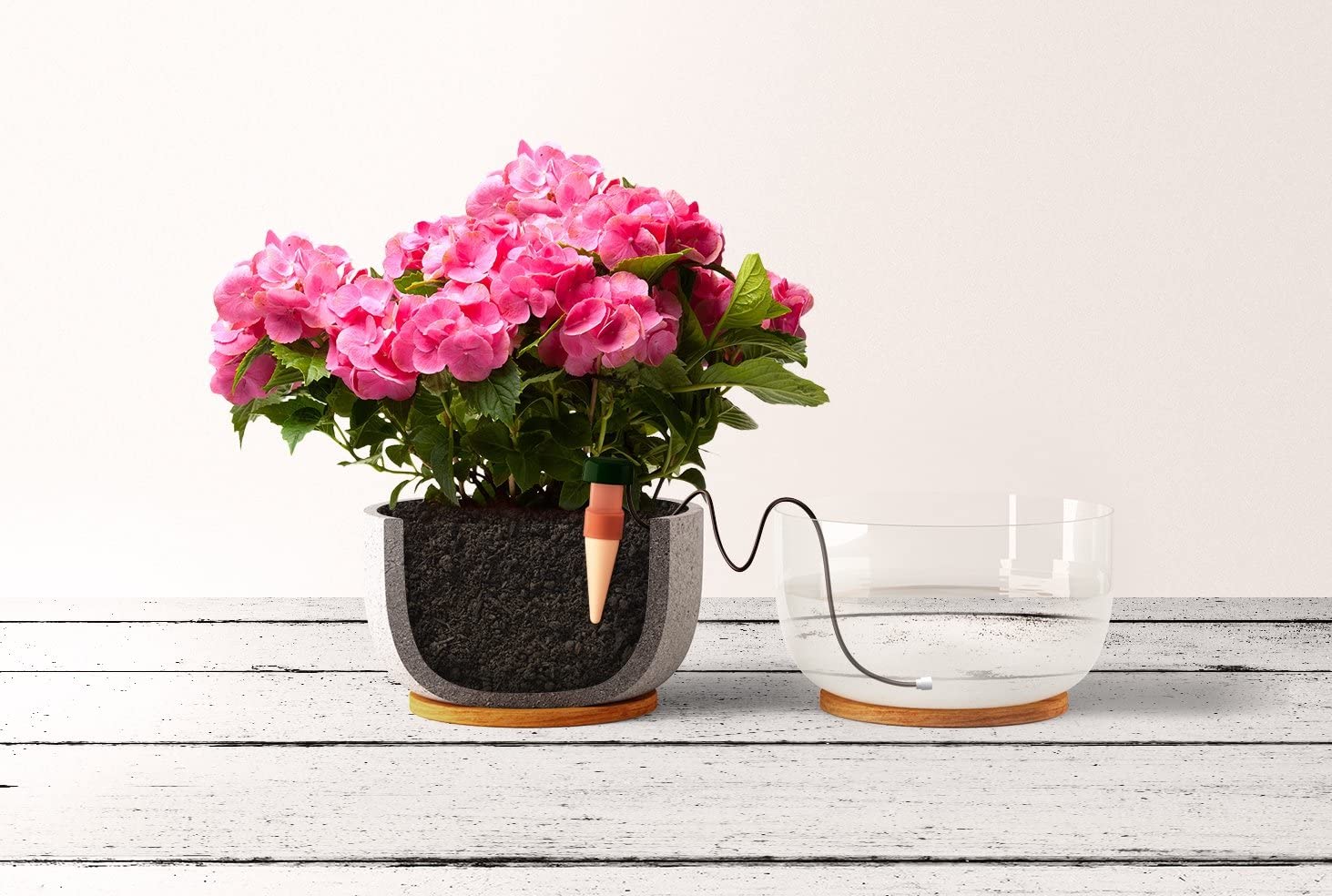 Greenhaus Gardening Automatic Plant Waterers for Potted Plants and Containers