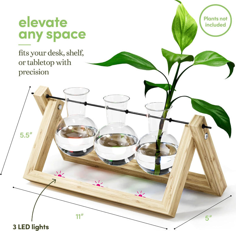 Greenhaus Gardening Wooden Plant Propagation Stand with Glass Bulb Vases