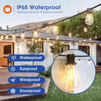 Greenhaus Gardening Outdoor LED String Lights for Garden and Backyard