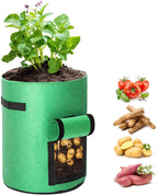 Greenhaus Gardening Foldable Green Garden Bags for Indoor and Outdoor Planting