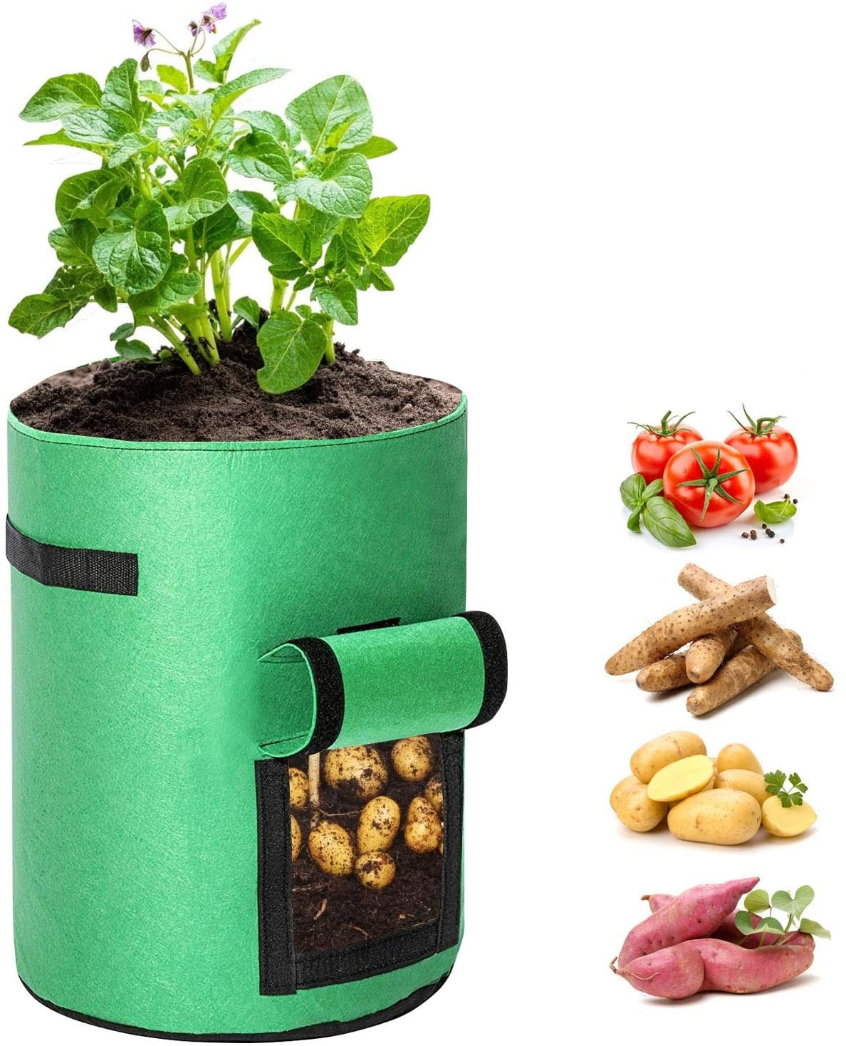Greenhaus Gardening Foldable Green Garden Bags for Indoor and Outdoor Planting