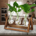 Greenhaus Gardening Wooden Plant Propagation Stand with Glass Bulb Vases