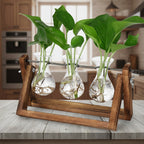 Greenhaus Gardening Wooden Plant Propagation Stand with Glass Bulb Vases
