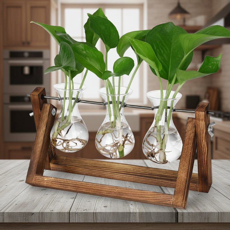 Greenhaus Gardening Wooden Plant Propagation Stand with Glass Bulb Vases