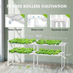 Greenhaus Gardening Indoor Hydroponic Growing System with Circulation Pump