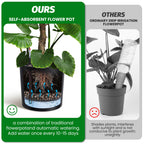 Greenhaus Gardening 20-Inch Self-Watering Round Planters Set of 2