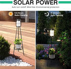 Greenhaus Gardening Solar Plant Display Stand for Outdoor Spaces