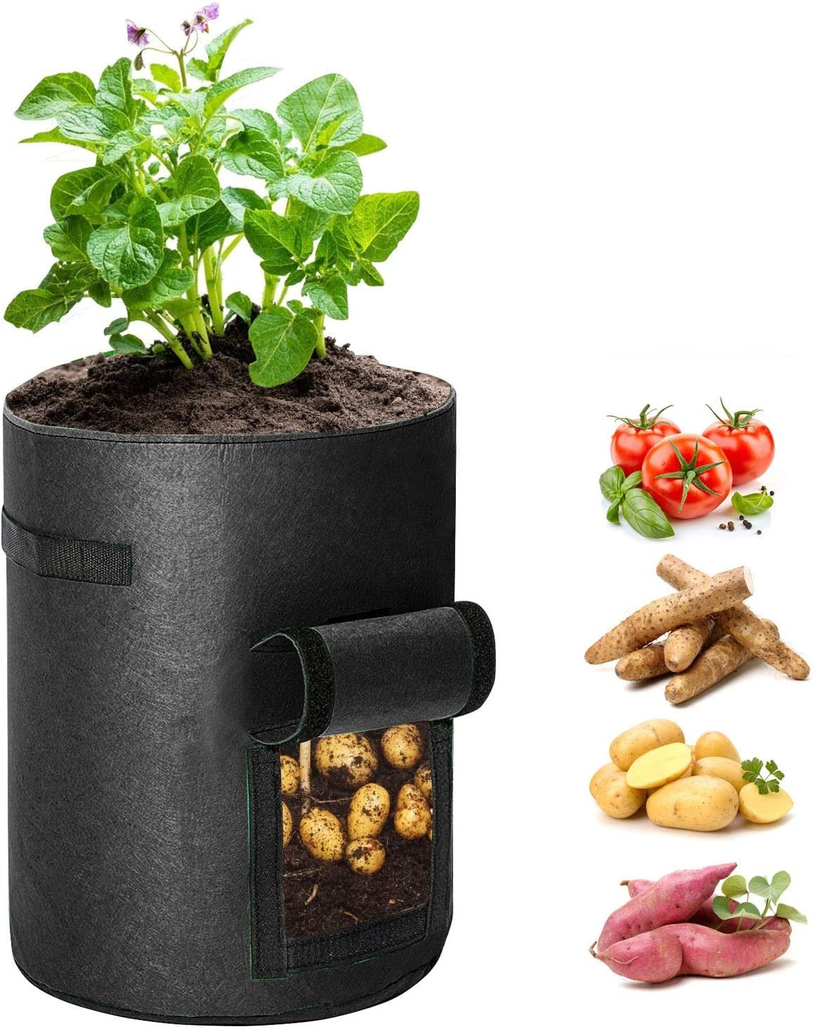 Greenhaus Gardening Black Non-Woven Grow Bags with Harvest Access Window