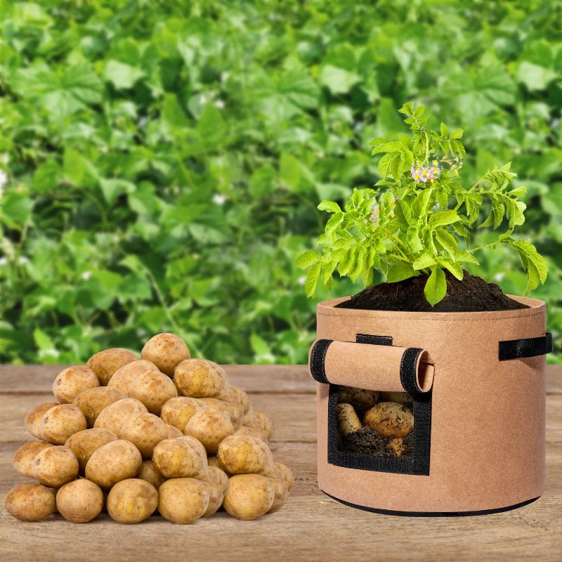 Greenhaus Gardening Reusable Potato Planter Bags with Side Access Window