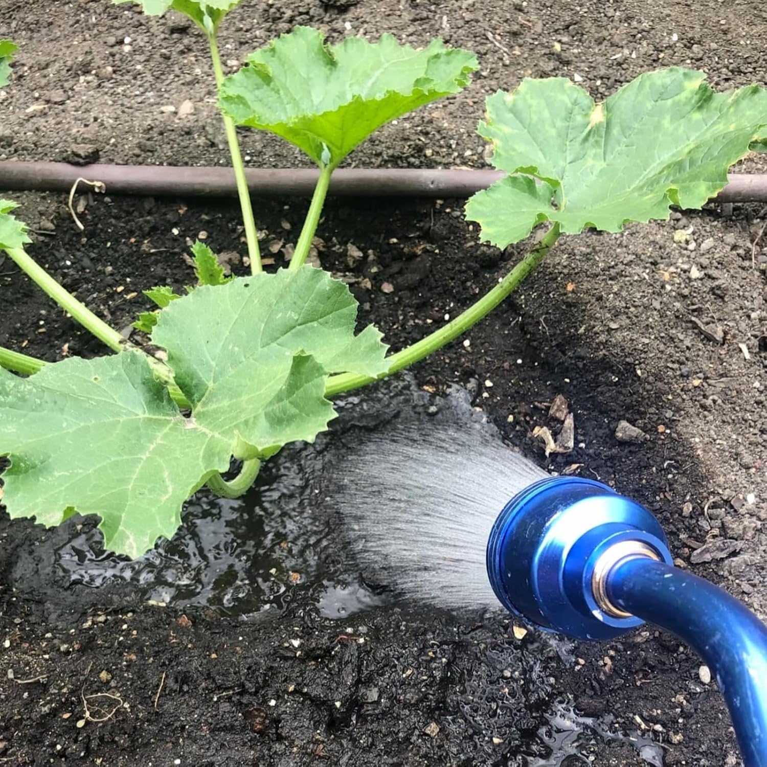 Greenhaus Gardening Lightweight Aluminum Watering Wand with Gentle Rain Shower
