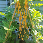 Greenhaus Gardening Reusable Melon Support Hammock Nets for Watermelon, Squash & Cantaloupe – 10 Pack