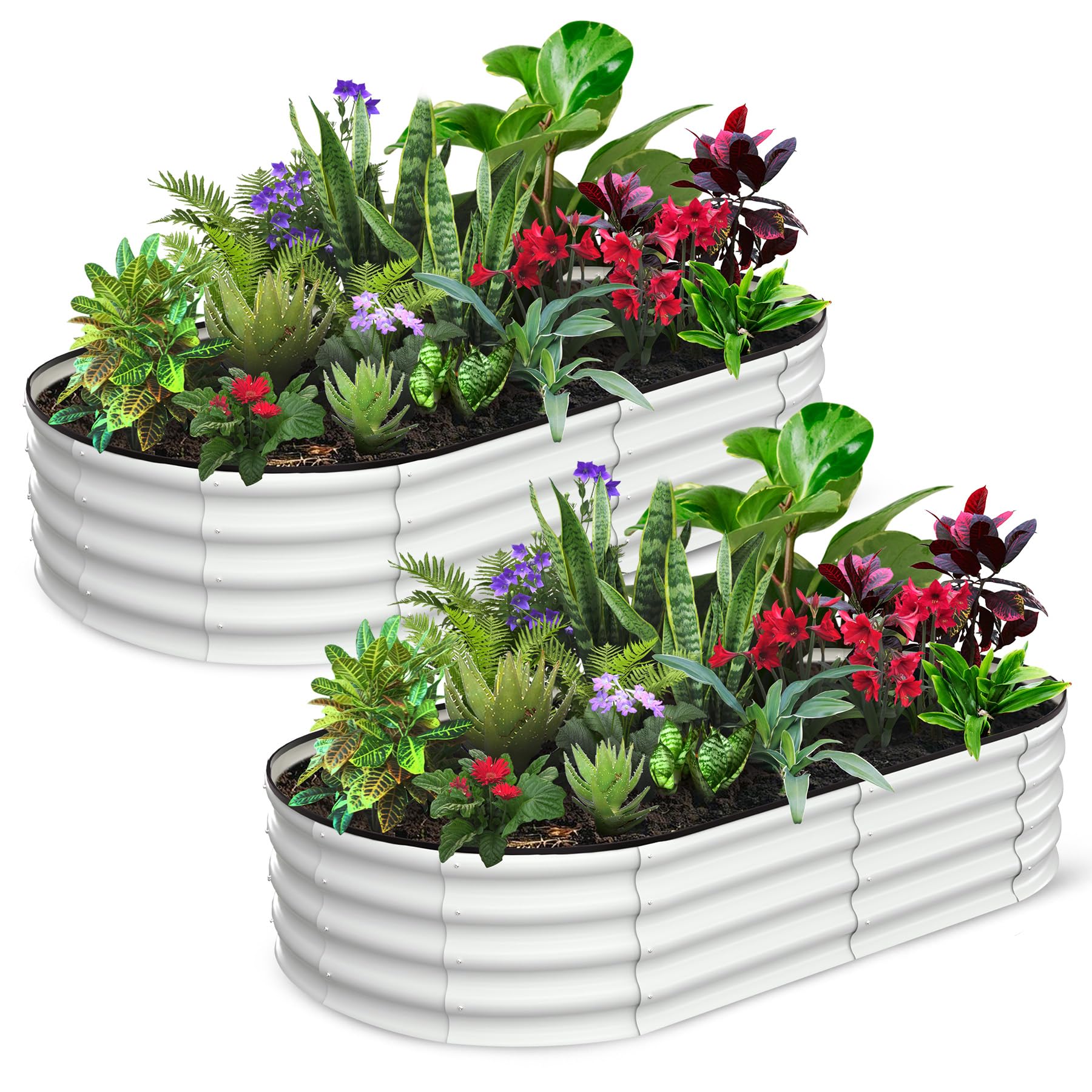 Greenhaus Gardening Oval Galvanized Raised Garden Bed 6 x 3 x 1 FT