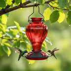 GreenHaus Gardening Hand Blown Glass Hummingbird Feeder