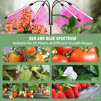 Greenhaus Gardening Full Spectrum Grow Light with Adjustable Tripod Stand