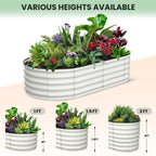 Greenhaus Gardening Oval Galvanized Raised Garden Bed 6 x 3 x 1 FT