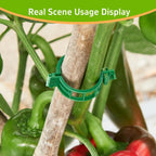 Greenhaus Gardening Reusable Plant Support Clips for Tomatoes & Climbing Plants, 100 PCS